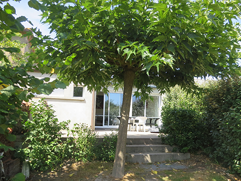 Salle
