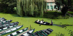 Marais poitevin