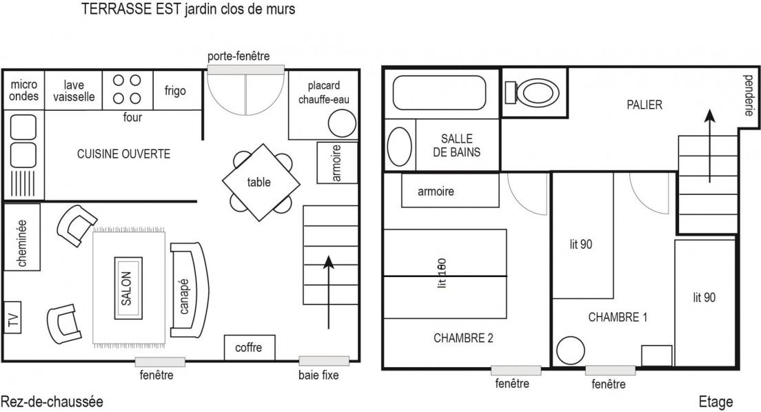 Plan hortensia